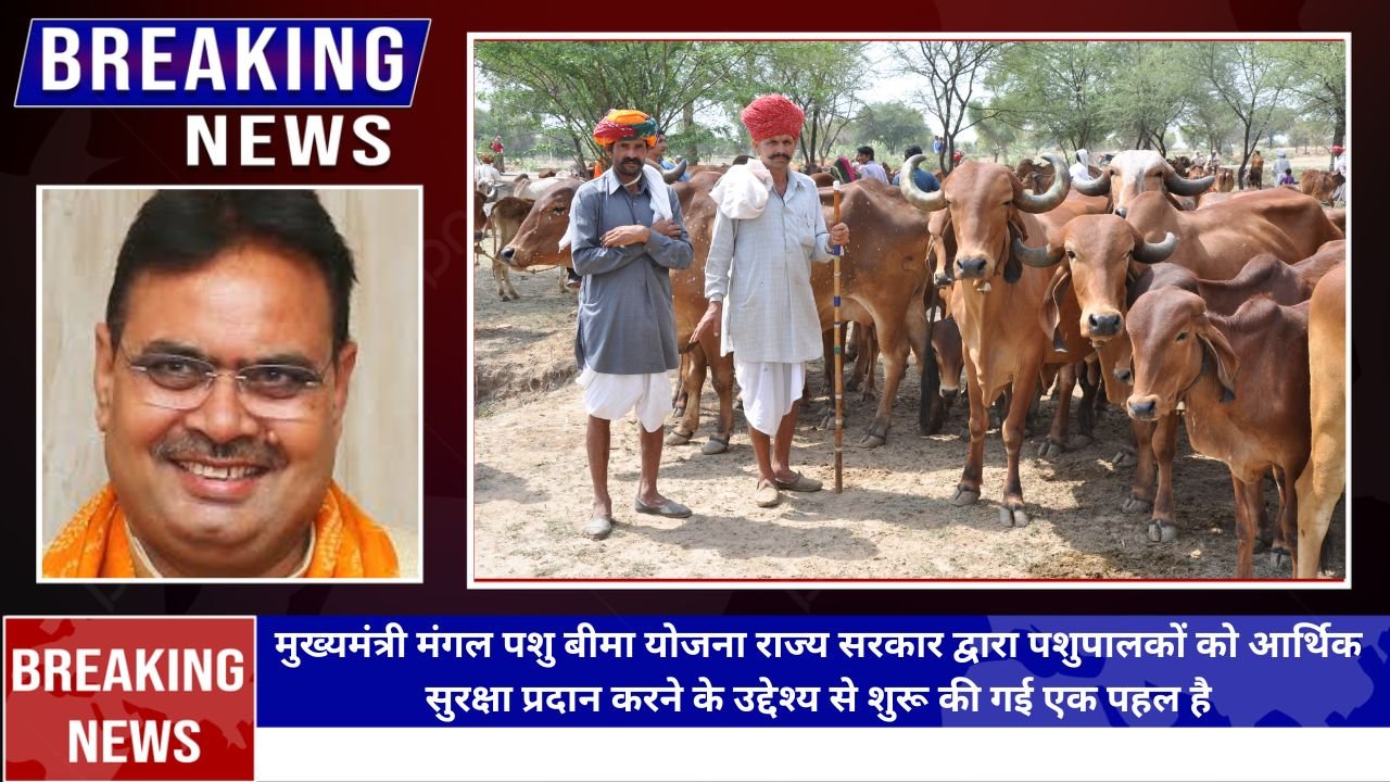 mmpby rajasthan gov in Registration